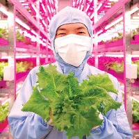 Các trang trại thẳng đứng đáng chú ý trên thế giới