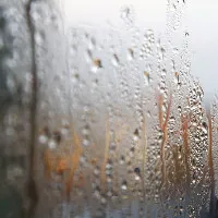 "Độ ẩm 100%" có nghĩa là không khí đã trở thành nước?