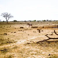 Trái đất sẽ có thêm rất nhiều sa mạc Sahara nếu xu hướng này tiếp tục xảy ra