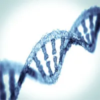 Các nhà khoa học phát hiện 52 "gene thông minh" quyết định 5% trí tuệ của bạn