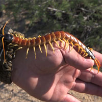 Trải nghiệm cảm giác 