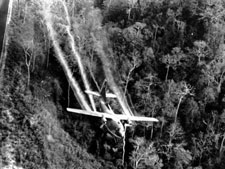 VN - Mỹ bàn cách giải quyết hậu quả chất độc da cam