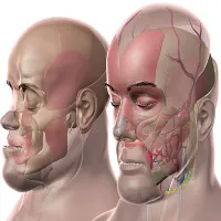 Các bác sĩ Pháp vừa làm nên lịch sử, khi cấy ghép khuôn mặt lần thứ hai cho cùng một người