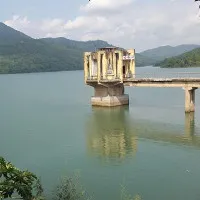 “Cụ” rùa Hoàn Kiếm xuất hiện ở hồ Yên Lập, Quảng Ninh