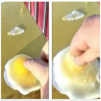 Video: Trời lạnh giá, lòng trứng vừa vỡ đã đóng băng trong vài giây