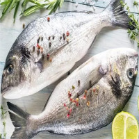 Omega-3 từ cá hiệu quả hơn trong phòng chống ung thư