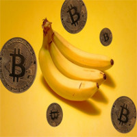 Bananacoin - Đồng tiền chuối, có trị giá bằng 1 cân chuối