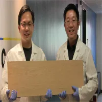 Gỗ cứng như thép có thể cản đạn bay