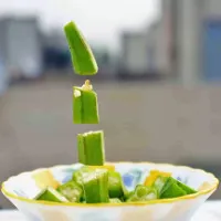 Thức ăn lơ lửng – Phát kiến mới để thu hút những người ham của lạ