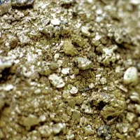 Phát hiện mỏ vàng, bạc 900 tấn ở Nga