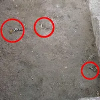 Sự thật về ngôi đền tử thần, đoạt mạng bất kỳ sinh vật nào lại gần