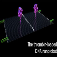 Robot DNA tí hon tiêu diệt ung thư theo chiến thuật 