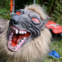 Robot sói canh gác những cánh đồng Nhật Bản