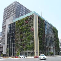 Tường cây - giải pháp làm xanh đô thị hiện đại