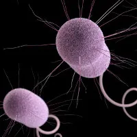 CDC Hoa Kỳ cảnh báo: Vi khuẩn "ác mộng" đang lan ra trên toàn nước Mỹ