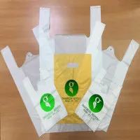 Đại Học Bách Khoa Hà Nội nghiên cứu thành công túi nilon tự hủy làm từ bột sắn