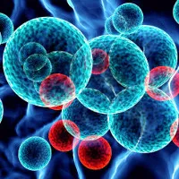 Phát triển công nghệ nano tìm diệt tế bào ung thư