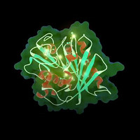 Phát triển thành công enzyme có khả năng phân hủy nhựa