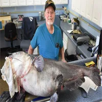 Cá nheo lục nặng 55kg cắn câu ngư dân Mỹ
