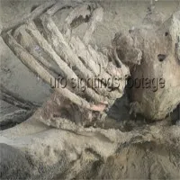 Bí ẩn bộ xương "ngoài hành tinh" dạt vào bờ biển Anh