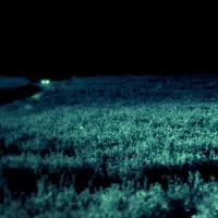 Skinwalker - Nơi kỳ lạ nhất Trái đất