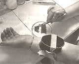 Nghề cho côn trùng hút máu