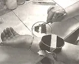Nghề cho côn trùng hút máu