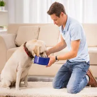 Cho cún cưng ăn đồ tươi sống có thể khiến... chủ nhân bị bệnh
