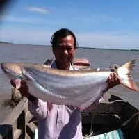 "Thủy quái" Vàm Nao và giai thoại thú vị về cá sấu 5 chân thành tinh