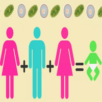 Em bé mang ADN của một ông bố hai bà mẹ