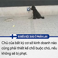 10 điều độc đáo chỉ có ở Phần Lan