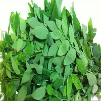 4 loại rau bà bầu phải kiêng cữ bởi có hại cho thai nhi