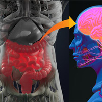 Trí nhớ của hệ thống tiêu hóa giúp chúng ta nhớ rõ nơi mình từng được ăn ngon