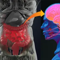 Trí nhớ của hệ thống tiêu hóa giúp chúng ta nhớ rõ nơi mình từng được ăn ngon