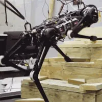 "Robot mù" của MIT có thể chạy, leo trèo cầu thang thành thạo