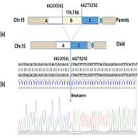 Người phơi nhiễm dioxin có thể bị đột biến gene