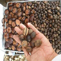 Đổ xô đi mua đậu Lào hút nọc độc, chuyên gia nói cẩn thận kẻo "tiền mất tật mang"