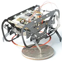 Robot nặng 1,5 gam “chấp” mọi kiểu địa hình nhờ bắt chước loài gián