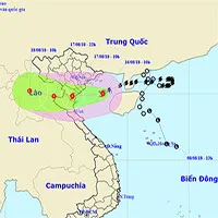 Đêm nay bão vào các tỉnh từ Thái Bình đến Thanh Hóa
