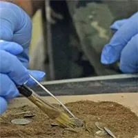 Phát hiện kho báu chứa tiền vàng "cực kỳ có giá trị" bên bờ Biển Đen