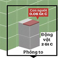 Tất cả sự sống trên Trái Đất được gói gọn vào biểu đồ này: Con người chưa chiếm đến 1%