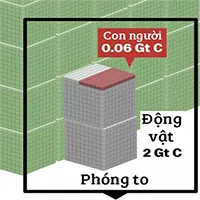 Tất cả sự sống trên Trái Đất được gói gọn vào biểu đồ này: Con người chưa chiếm đến 1%