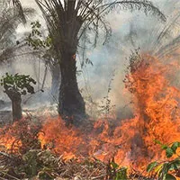 Ảnh vệ tinh NASA cho thấy Trái đất đang "chìm trong biển lửa"