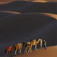 Sa mạc Sahara có thể biến thành nhà máy điện khổng lồ