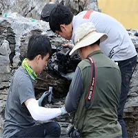 Phát hiện ổ "kiến sát nhân" có thể gây chết người ở Hàn Quốc