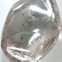 Đi dạo bất ngờ nhặt được viên kim cương trong công viên