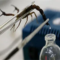 Nọc độc bọ cạp tử thần: Chất lỏng đắt nhất hành tinh!
