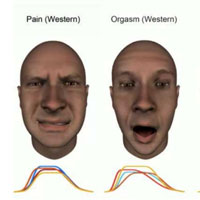 Sự khác biệt về biểu cảm khuôn mặt lúc đau đớn và... cực khoái giữa các nền văn hóa