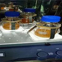 Việt Nam tạo chủng gốc sản xuất vắc xin phòng bệnh viêm phổi ở lợn