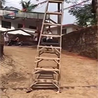 Kỳ lạ về hiện tượng "thang dạo phố" ở Ấn Độ